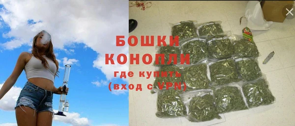 spice Гусев